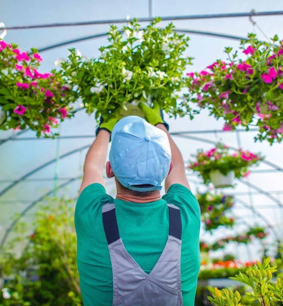 Gardener and His Flowers