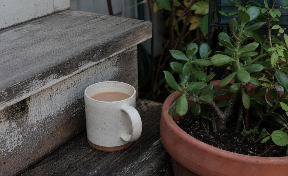 a mug of coffee resting on a worn garden step beside a potted plant in the morning