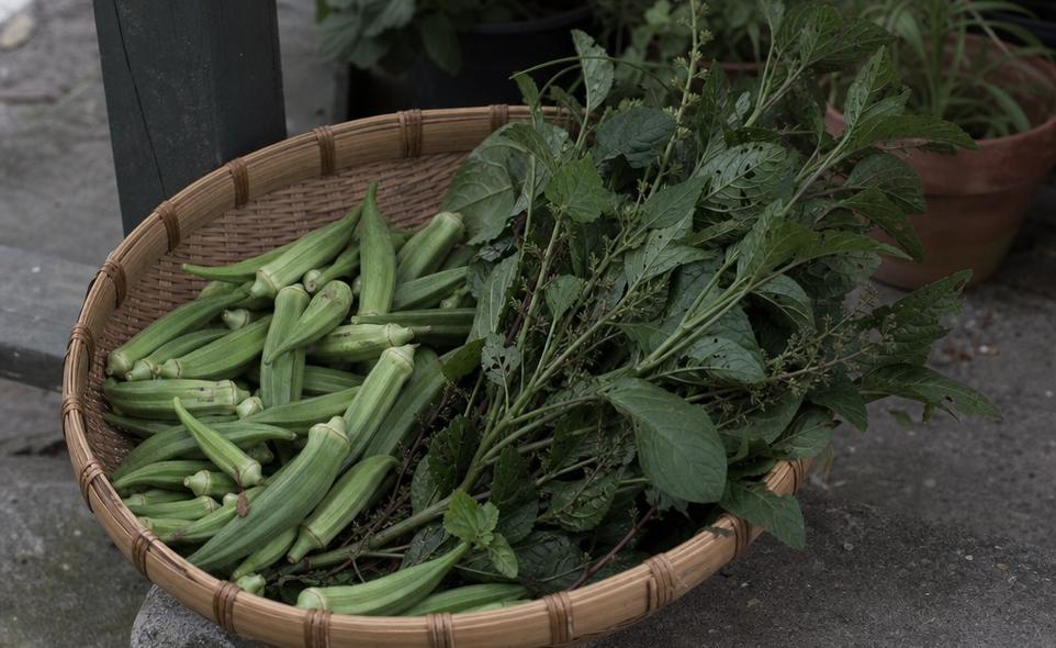 a shallow basket of just-picked okra and summer greens on a shaded step