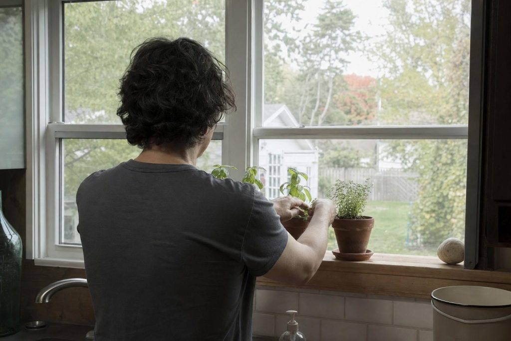 a person at a kitchen window tending three small starter pots on the sill