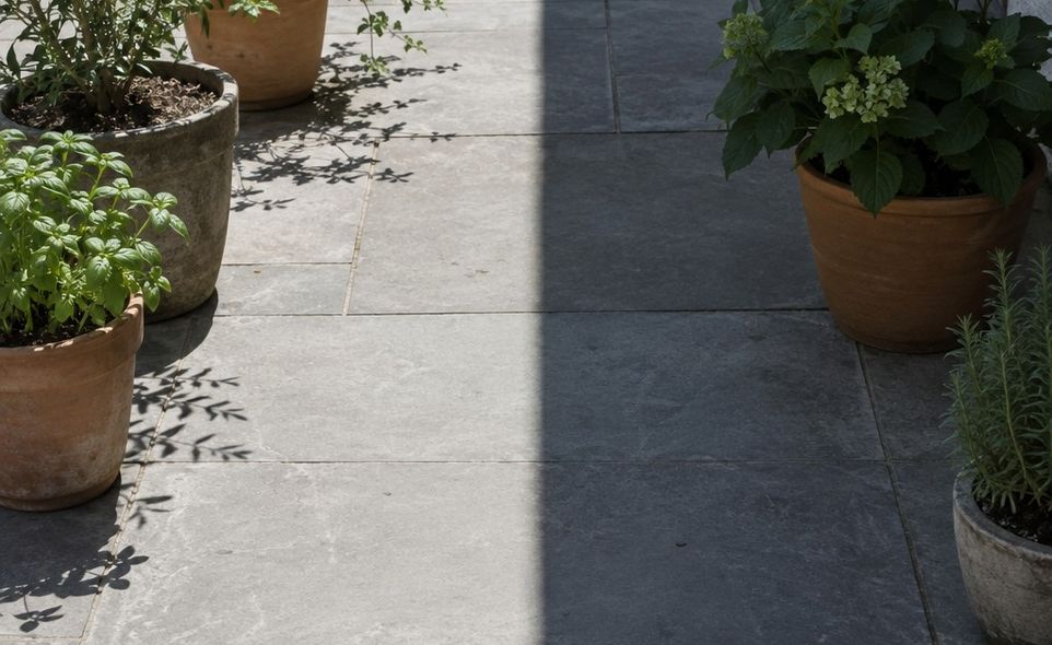 a hard shadow line falling across a patio with potted plants on either side of it