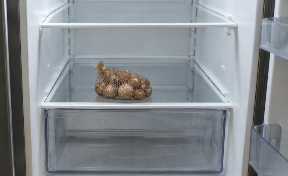 a mesh bag of tulip bulbs on a shelf inside an open refrigerator, away from any fruit